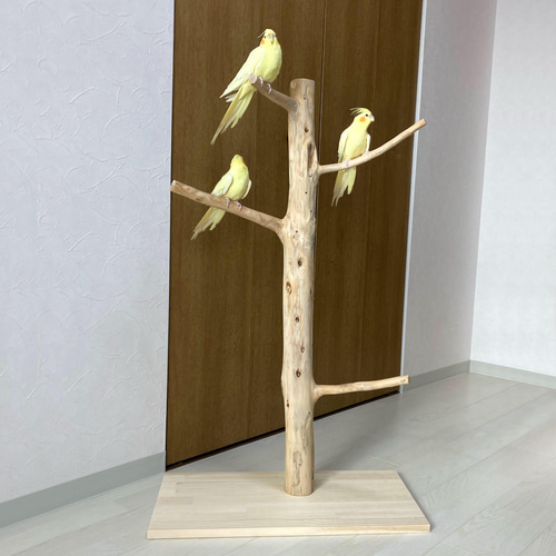 流木の止まり木】鳥 大型バードスタンド 高さ約99cm 人気のツリー型