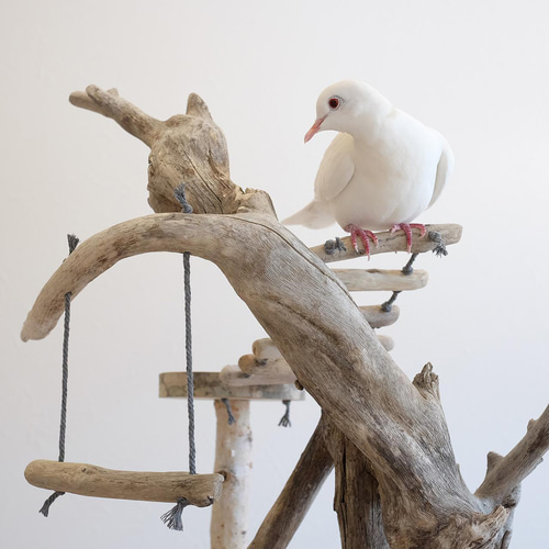 流木バードアスレチック M おもちゃ・ペット小物 Driftwood and birds