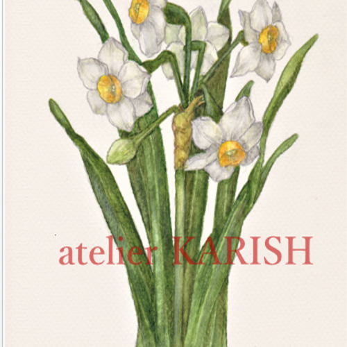 水彩画原画【水仙】A5サイズ イラスト atelier KARISH 通販 13301360