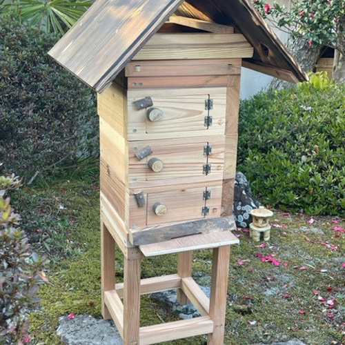 日本みつばち用 飼育箱 点検しやすい 重箱式巣箱 観察窓3窓付 杉材 桜