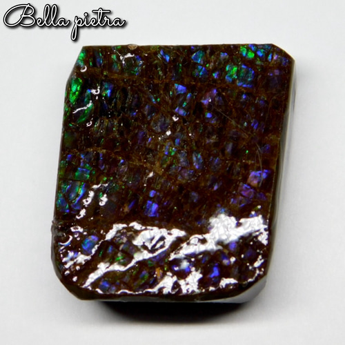 美遊色！高品質☆希少☆カナダ産アンモライト ピース ドラゴンスキン