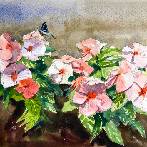 水彩画】原画「 ニチニチソウ」F4：242×332 mm #花 #flower