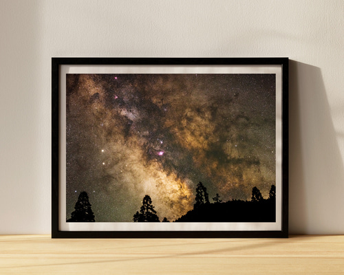 2a8fd0ed3fce9a0110e901475d1a43