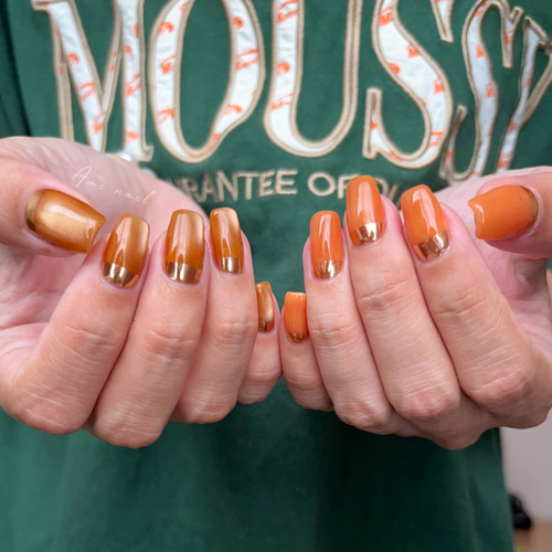 ネイルチップ＊enoi マグネットワンカラー プランパー マロンマグ