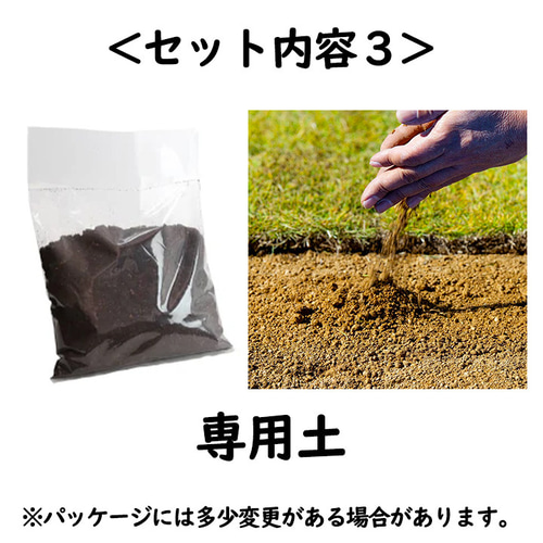 水晶入りアーシングポット（芝生タイプ） その他素材 tunsam 通販