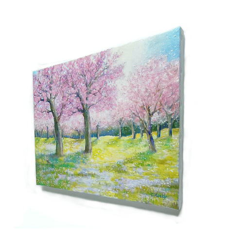 一点物】『 桜ー春風 』桜2025 油絵 F6号キャンバス 油彩 油画