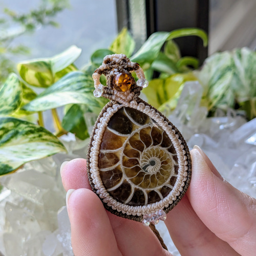 ☆アンモナイト(化石)☆マクラメ編みネックレス 230・マクラメ