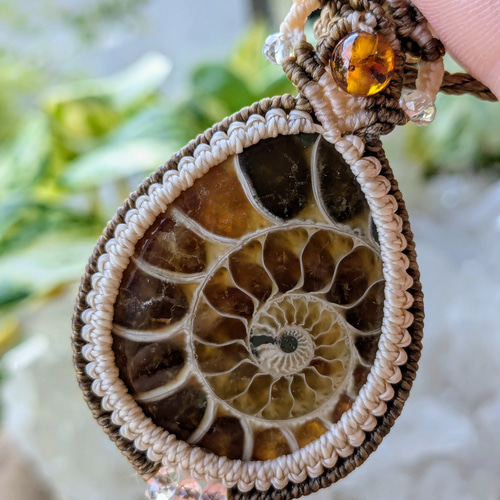 ☆アンモナイト(化石)☆マクラメ編みネックレス 230・マクラメ