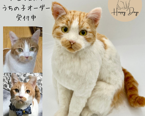 330ba8647b0113a0f3257843351311