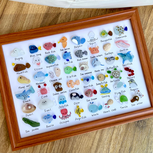 シーグラスアート☆No156 図鑑 ギフト プレゼント 水族館 ヒーリング