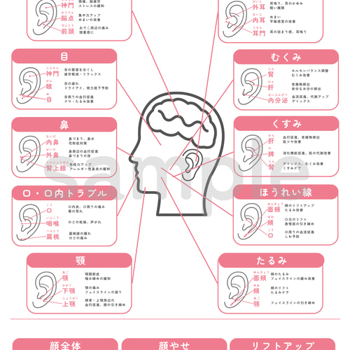 耳ツボ辞典セット | 耳ツボジュエリー イヤリング・ノンホールピアス