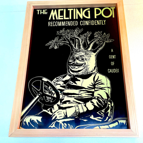 グラキリス プランツ ボタニカル ポスター アート 塊根植物 額縁 A2