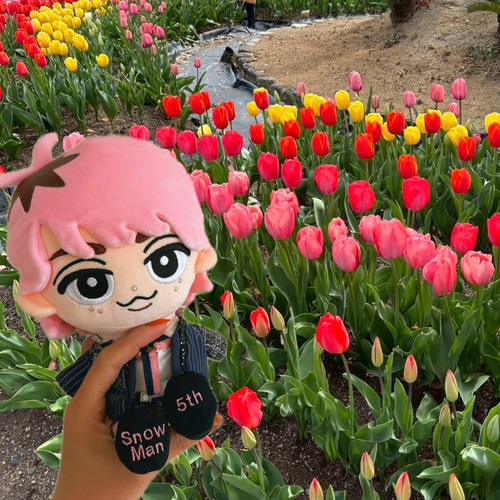 刺繍ぬい靴 単品 すのチル チルぬい BIG SnowMan アイドル 服