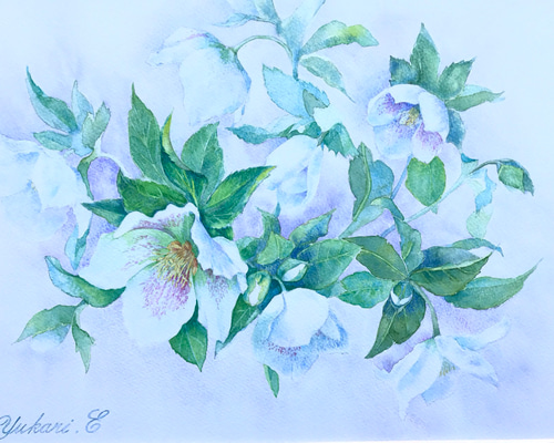 0_3bd32b858ac0f28b518889b6e334