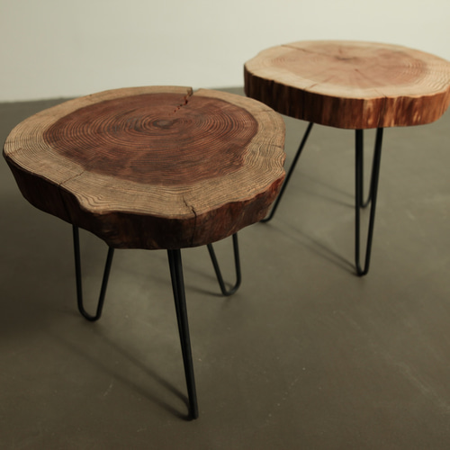 ◇Daytona掲載商品◇アイアン＆切り株のサイドテーブル 観葉植物が