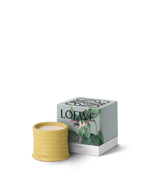 ロエベ キャンドル ハニーサックル S（キャンドル）｜LOEWE Perfumes