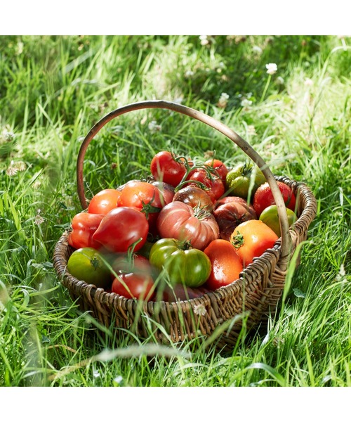 レプリカ オードトワレ フロム ザ ガーデン (10mL)（香水）｜Maison