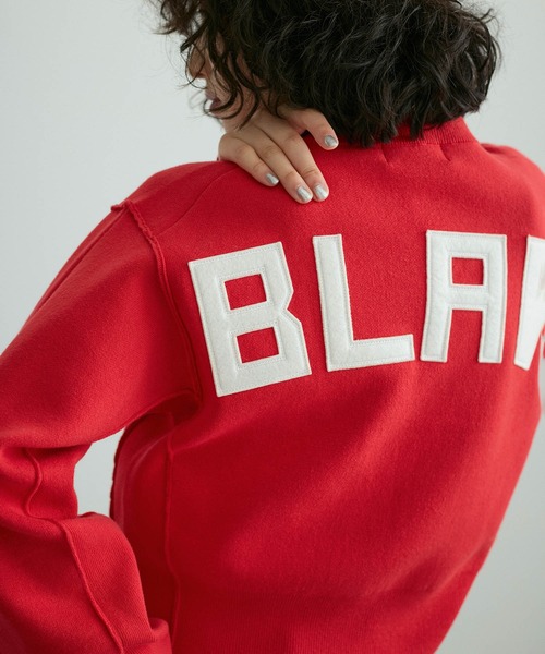 サステナブル・洗える】フェルト刺しゅうニットプルオーバー（ニット