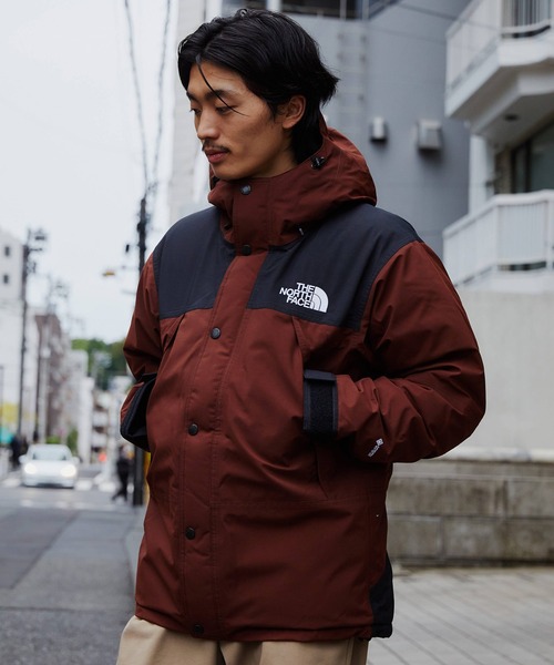 THE NORTH FACE（ザノースフェイス）の「THE NORTH FACE MOUNTAIN DOWN