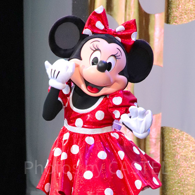 トータリー・ミニーマウス| キャステル | CASTEL ディズニー情報