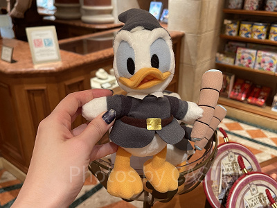 ディズニーで買えるドナルドグッズまとめ！ぬいぐるみやファンキャップ