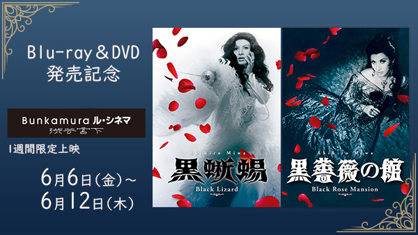 Blu-ray＆DVD発売記念】美輪明宏 『黒蜥蜴 』『 黒薔薇の館』1 週間