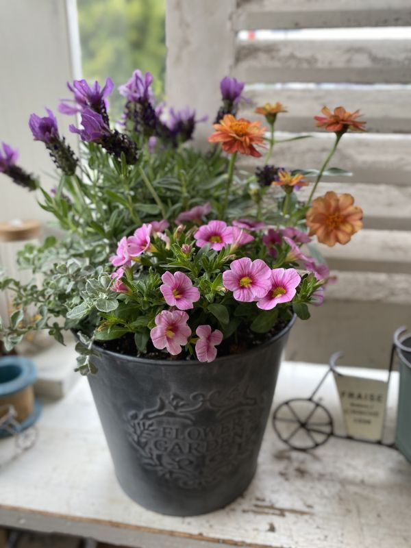 サークルブリキポットSの寄せ植え - Le Ciel（ル・シエル）