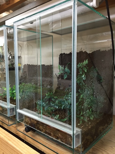 直接引取】中古品RainForest パルダリウムケージプロ PCP3045 直接引取