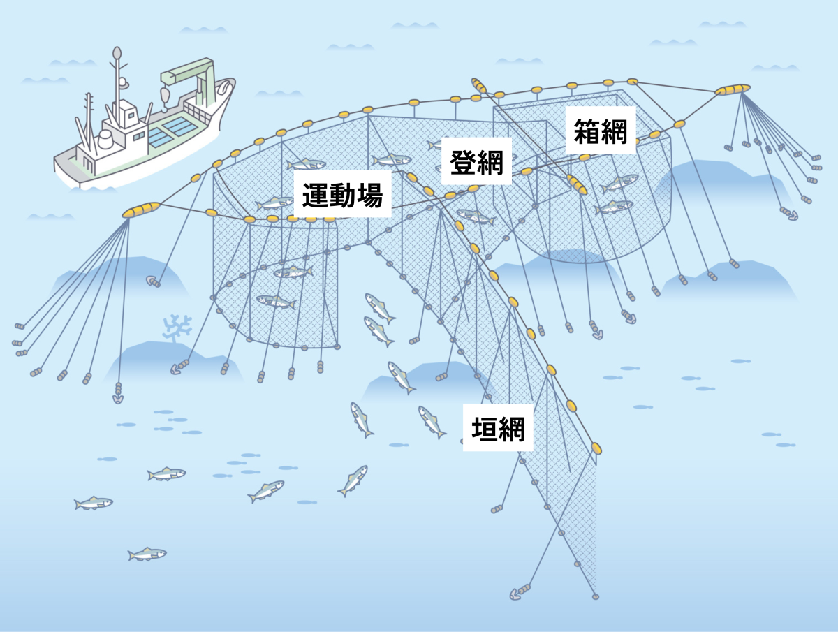 富戸漁港の定置網漁 ～150年続く、伝統的な漁法を学ぶ～ / Chefs for