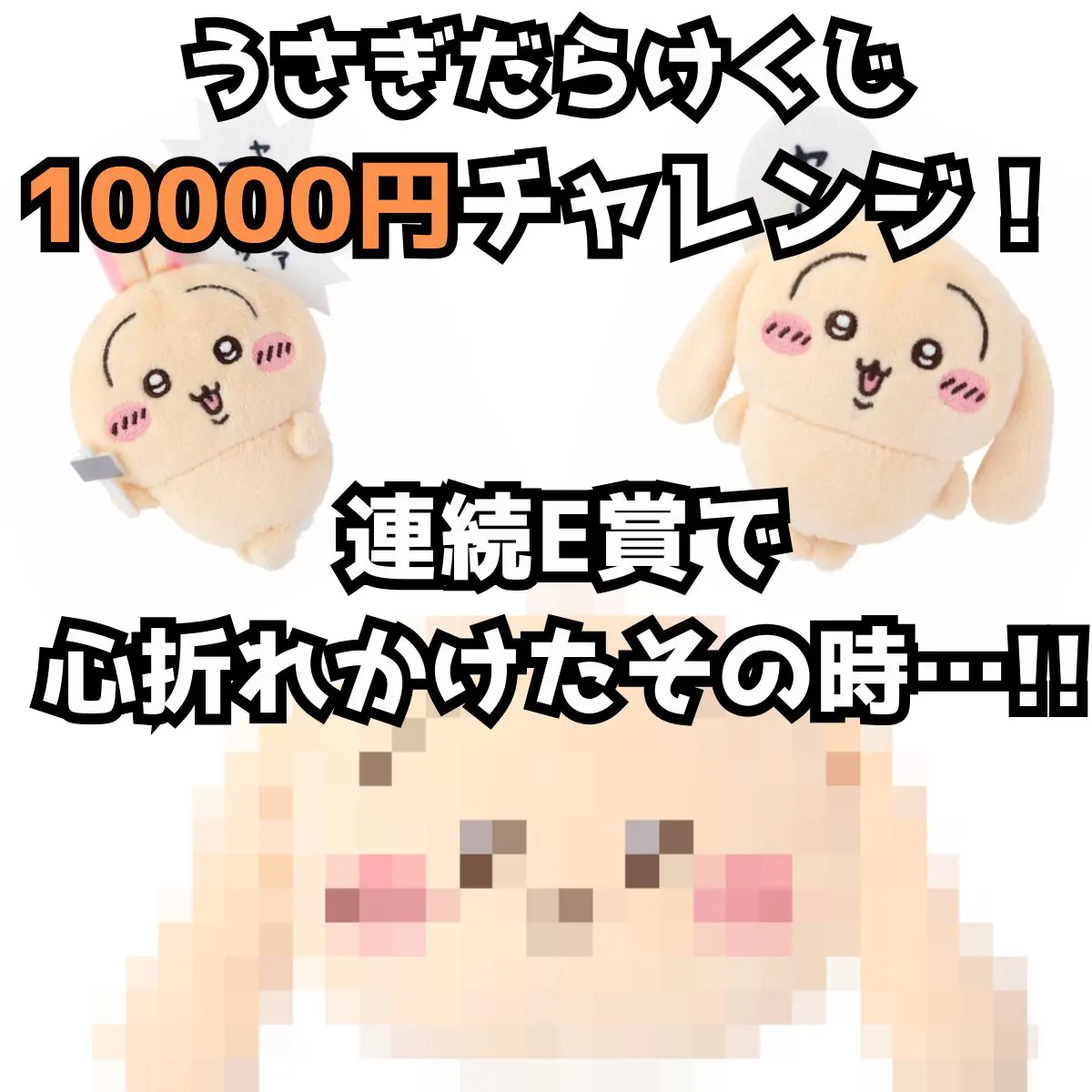 うさぎだらけくじで連続E賞-1.