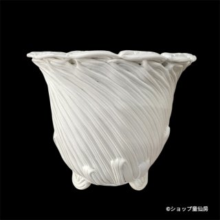 紲鉢（つなぎばち）・らせん美〜紲〜・ショップ童仙房のクリスマス