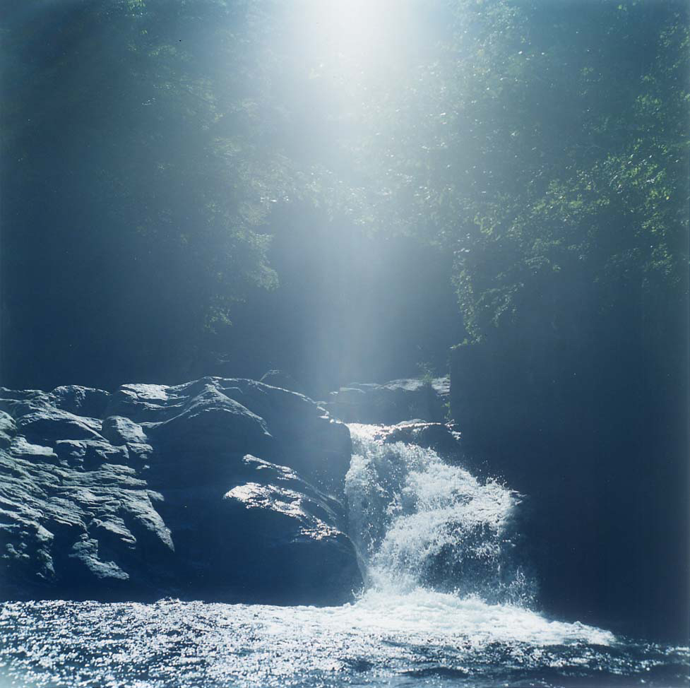 Rinko Kawauchi - Gallery | Galerie Christophe Guye