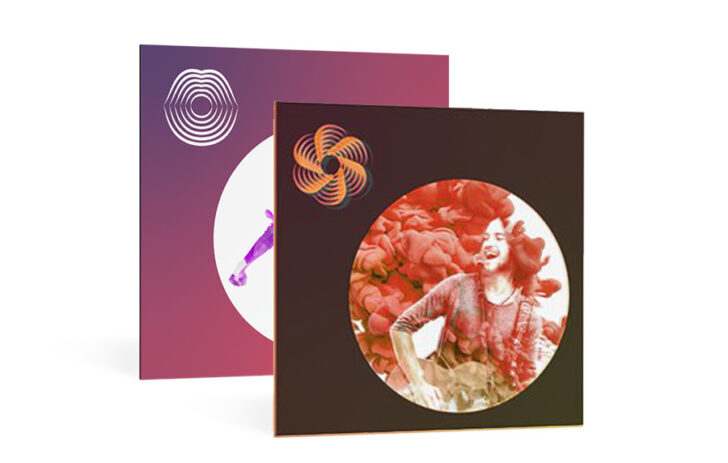 電子的なボーカルの質感や、ロボットボイスなどの様々な声を形成し操作