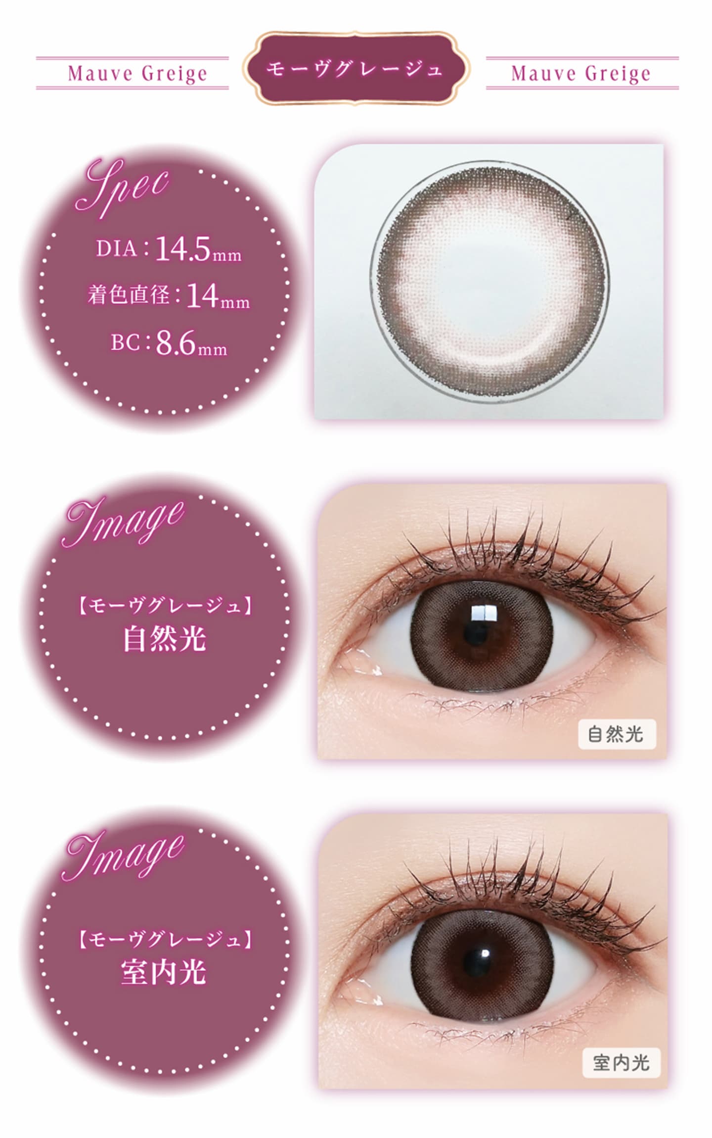 ○送料無料○ マジェット（Majette） 10枚入 8箱セット | 三上悠亜