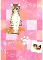 やっぱり猫が好き Vol.1～6ボックスセット 中古DVD・ブルーレイ