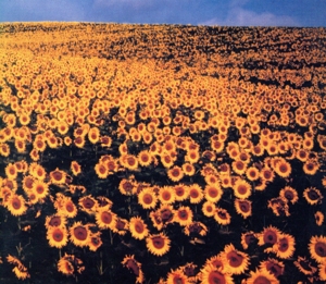 BOLERO 中古CD | ブックオフ公式オンラインストア