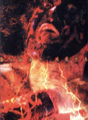 G1 CLIMAX 20th Anniversary XX-3Dスペシャルエディション- 新品DVD