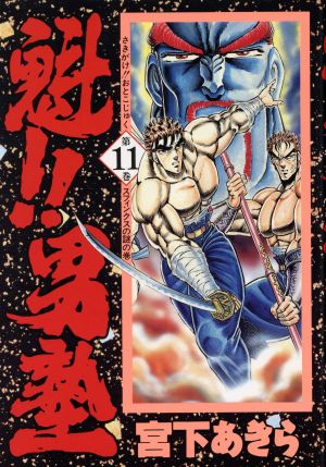 コミック全巻セット・まとめ買い】魁!!男塾(愛蔵版)(全20巻)セット