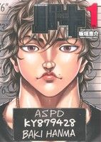 コミック全巻セット・まとめ買い】バキ(完全版)(全17巻)セット