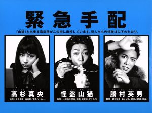 怪盗 山猫 DVD-BOX 中古DVD・ブルーレイ | ブックオフ公式オンラインストア