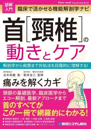 図解入門 臨床で活かせる機能解剖学ナビ 首[頚椎]の動きとケア 解剖学