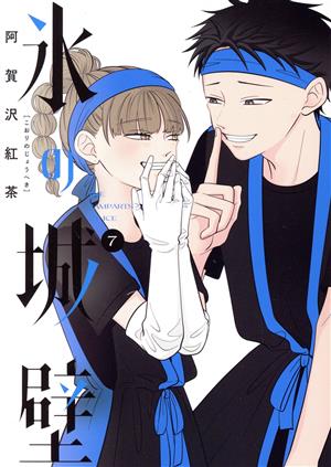 氷の城壁 漫画 1〜14巻 全巻セット 帯なしコミック全巻セット