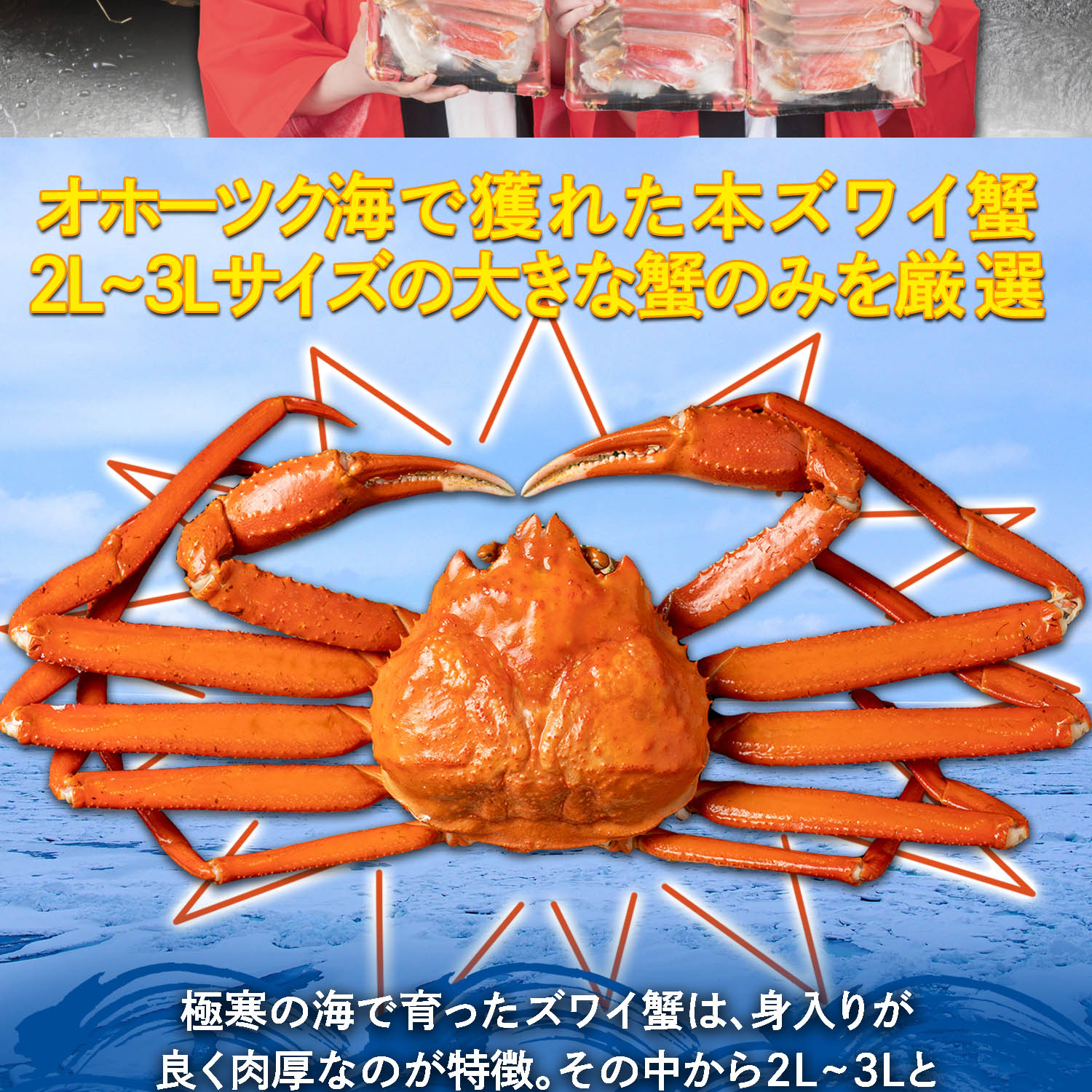 公式】 【終】【完売】生本ズワイ蟹むき身 満腹セット 3パック (蟹