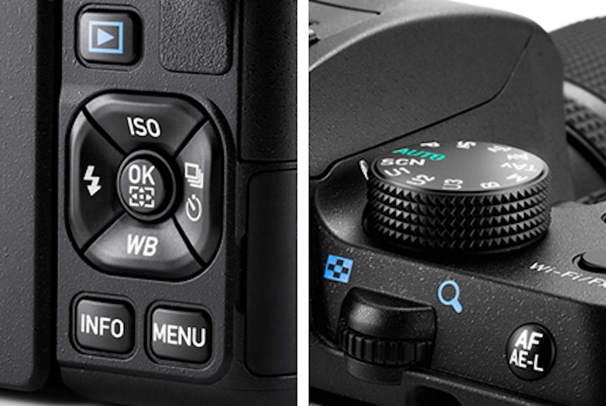 プロ厳選・初心者におすすめのデジタル一眼レフカメラを実写で比較