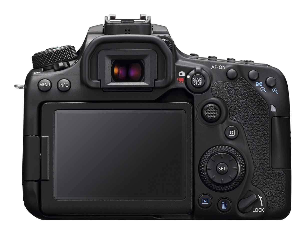 プロ厳選・初心者におすすめのデジタル一眼レフカメラを実写で比較