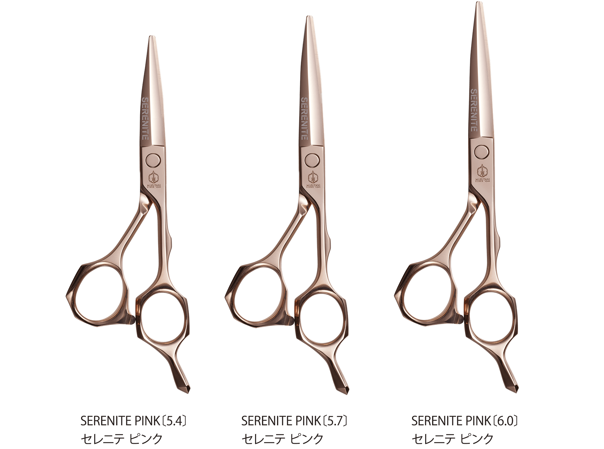 特集 新製品 2025 | ミズタニシザーズ