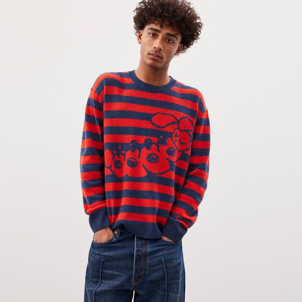 公式】COACH – コーチトピア™ | ストライプ クルーネック セーター