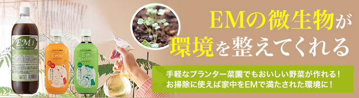 ホロンクリスタルの販売