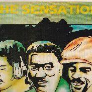 BORN TO LOVE YOU (LP) / /THE SENSATION レコード通販COCOBEAT RECORDS