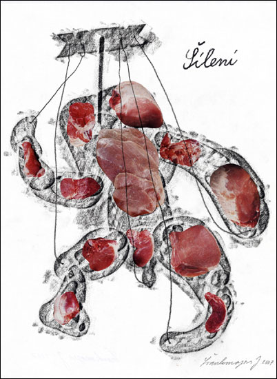 ヤン・シュヴァンクマイエル / シュヴァンクマイエル PREMIUM BOX